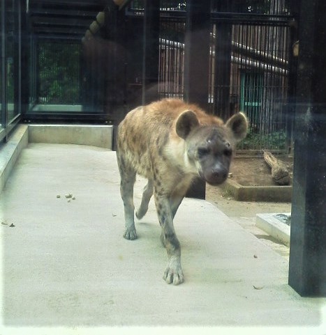 No.2498-1 地震前兆