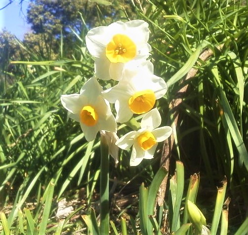 No.5172-1 地震前兆