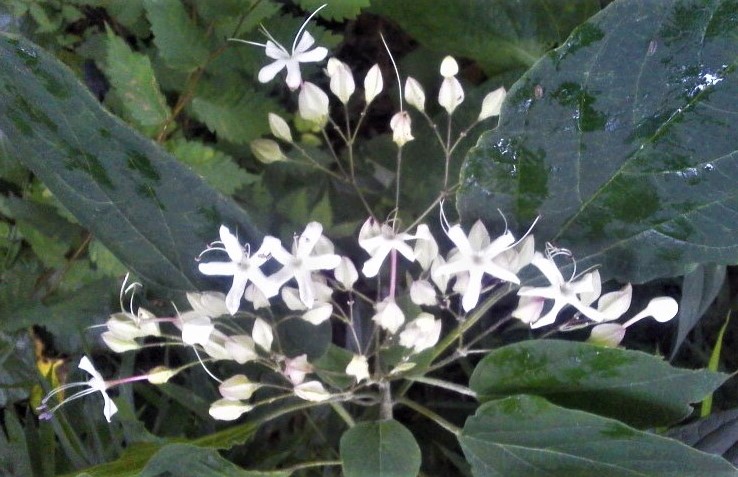 No.6355-1 地震前兆