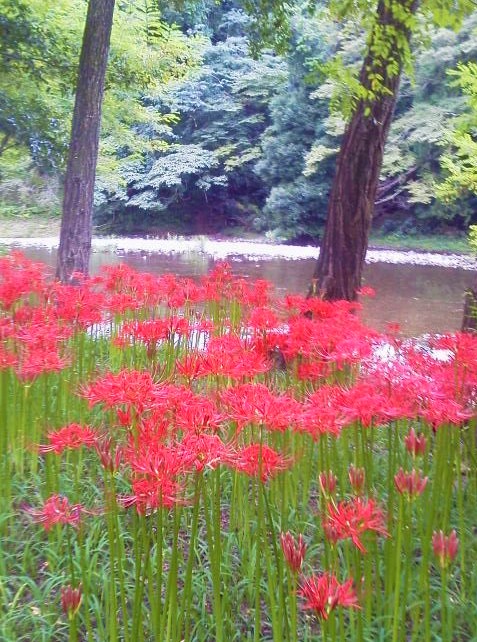 No.6406-1 地震前兆